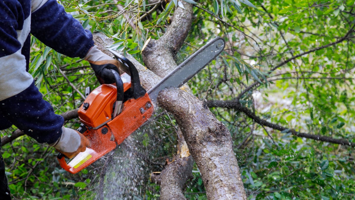 Overcoming Labor Shortages in the Construction Industry  7369